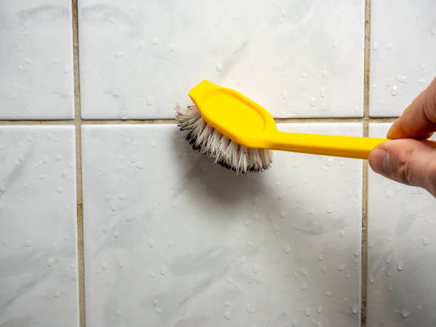 Best Fast Mold Removal  in Garden Home Whitfd, OR