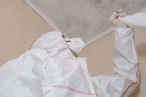 Best Office Mold Removal Services  in Garden Home Whitfd, OR